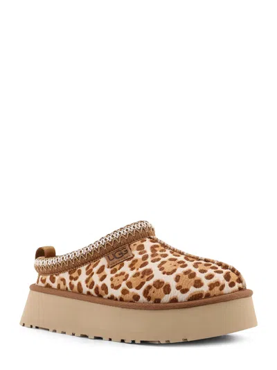 Ugg Tazz Plains Slippers Felicity Leopard Jasmine In Multi