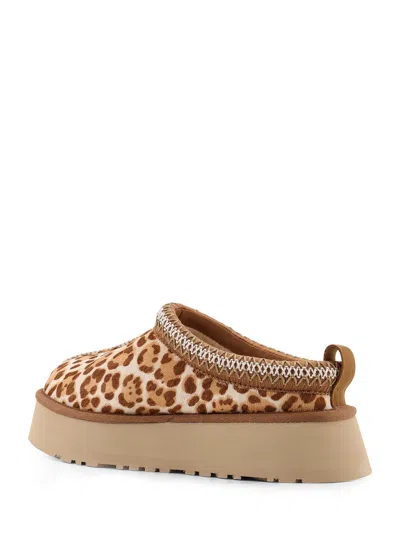 Ugg Tazz Plains Slippers Felicity Leopard Jasmine In Multi