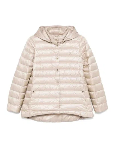 Herno Padded Jacket In Brown