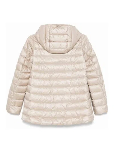 Herno Padded Jacket In Brown