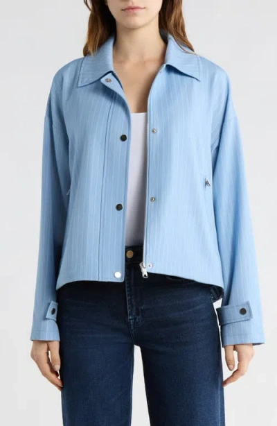 Bernardo Stripe Jacket In Blue