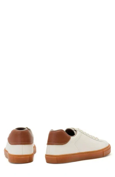 Allsaints Tucker Sneaker In White