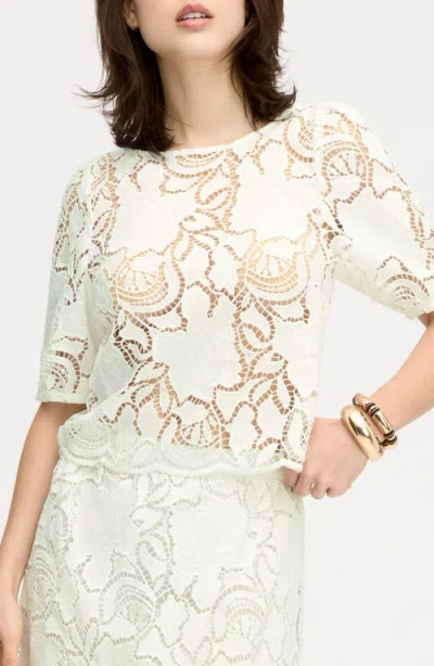 Sam Edelman Lace Top In Neutral