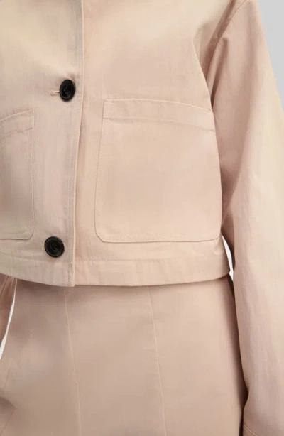Sam Edelman Crop Jacket In Neutral