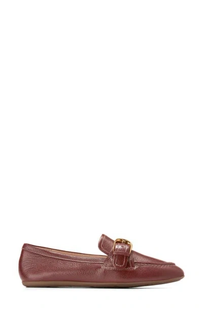 Cole Haan Grand Ambition Alette Buckle Loafer In Brown