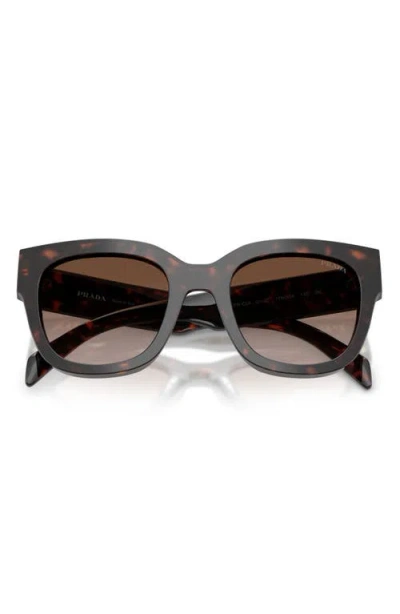 Prada Tortoiseshell Butterfly-frame Sunglasses In Pink