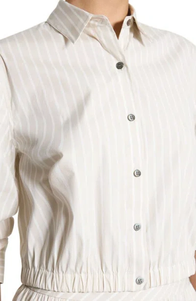 Theory Stripe Fixed Sleeve Cotton Blend Button-up Shirt In Neutral