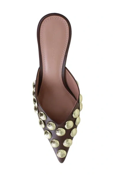 Bcbg Grimaldi Pointed Toe Pump In Brown