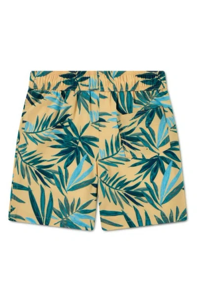 Abercrombie Boys' 5-8 Printed Swim Trunks In Green