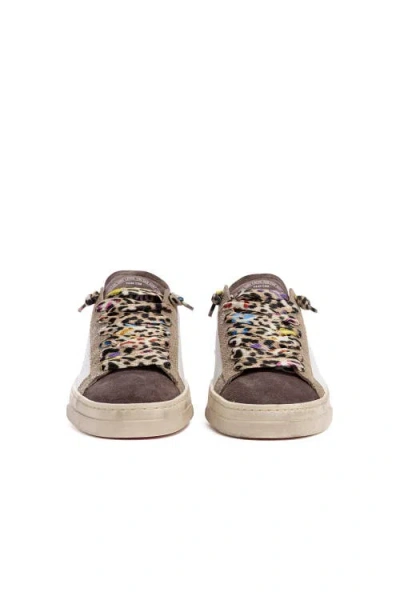 P448 Jack Sneaker In Multi