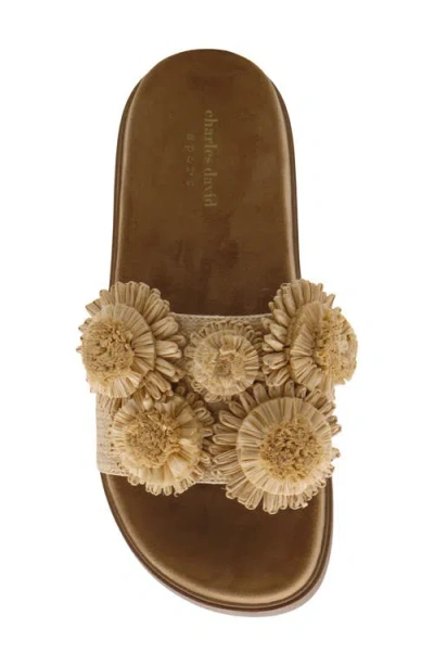 Charles David Palms Platform Slide Sandal In Multi