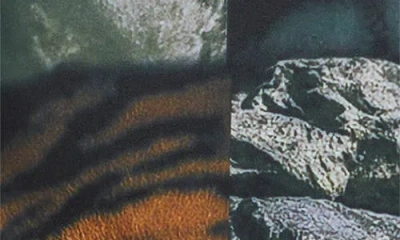 Dressed In Lala Dressed In Black