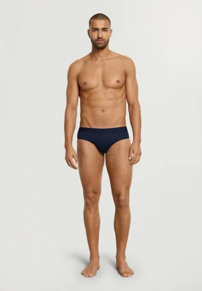 Hanro Cotton Essentials 2-pack Cotton Briefs In Blue