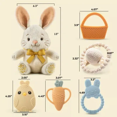 Sperric Plush Bunny With Bow And Silicone Teether Set In Multi