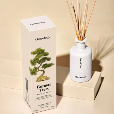Osmology Bonsai Tree Reed Diffuser In White