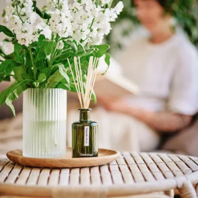 Osmology Magnolia Blush Reed Diffuser In Black