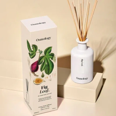 Osmology Fig Leaf Reed Diffuser In White