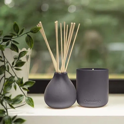Osmology Indian Sandalwood Reed Diffuser In Black