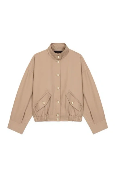 Maje Cotton Bomber Jacket In Brown