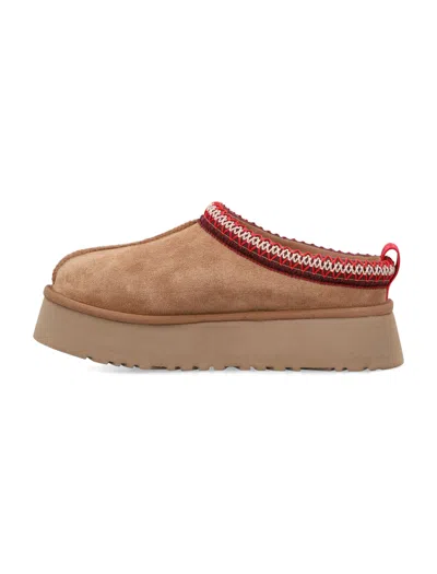 Ugg Tazz Ii 1174471-che Slipper 6 Chestnut Suede Round Toe Slip-on Rhs8109 In Multi