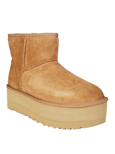 Ugg Classic Mini Platform Boots In Chestnut In Brown