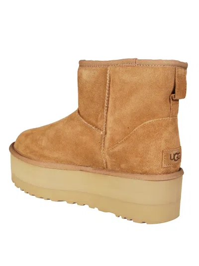 Ugg Classic Mini Platform Boots In Chestnut In Brown