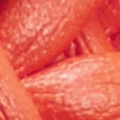 Aldo Timber In Multi