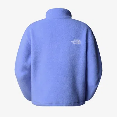 The North Face Wmns Fleeski Zip Pullover In Blue