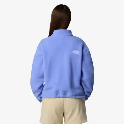 The North Face Wmns Fleeski Zip Pullover In Blue