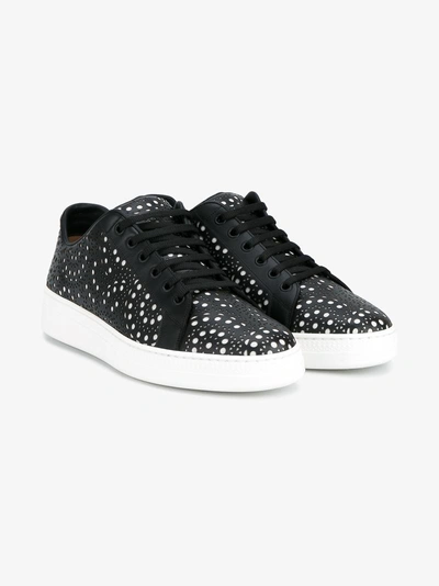 Shop Alaïa Ladies Black And White Leather Perforated Lace-up Sneakers, Size: 41