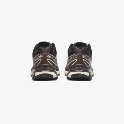 Salomon Xt-6 Sneakers In Brown