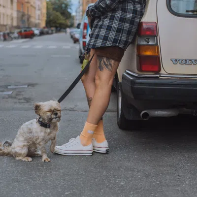 Converse Off-white Chuck 70 Low Top Sneakers In Beige