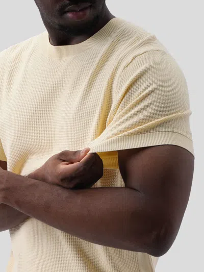 Fioboc Gentleknit Honeycomb Short Sleeve Knitted T-shirt In Brown