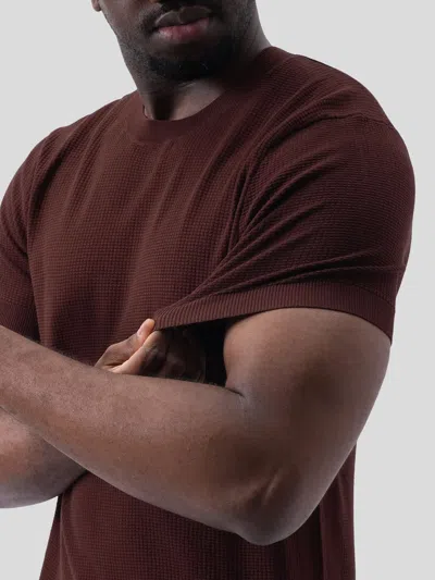 Fioboc Gentleknit Honeycomb Short Sleeve Knitted T-shirt In Brown