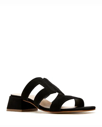 La Canadienne Fifi In Black