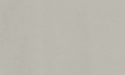 Brax Evans Regular Fit Flat Front Chino Pants In Silver