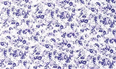 Tailorbyrd Ditsy Quarter Zip Pullover In Blue