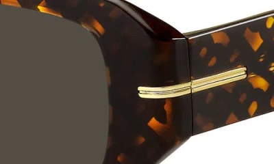 Hugo Boss Boss 50mm Rectangular Sunglasses In Brown
