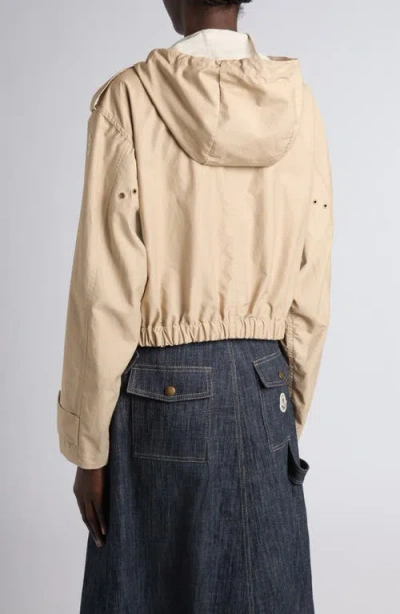 Moncler Carex Cropped Hooded Cotton-blend Poplin Jacket In Neutral