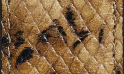 Nili Lotan Gabriele Snakeskin-embossed Leather Belt In Brown