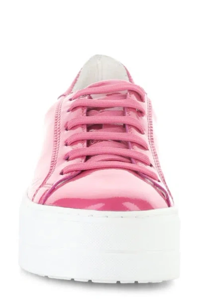 Bos. & Co. Maya Platform Sneaker In Pink