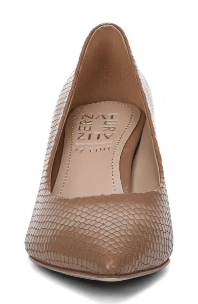 27 Edit Naturalizer Francis Pump In Brown