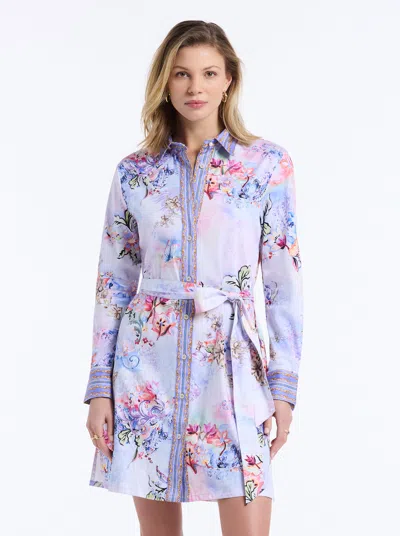 Robert Graham Charlotte Dress In Multi