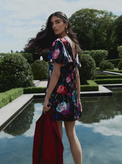 Robert Graham Alara Dress In Blue