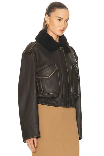 Acne Studios Shearling Bomber Jacket In Brown