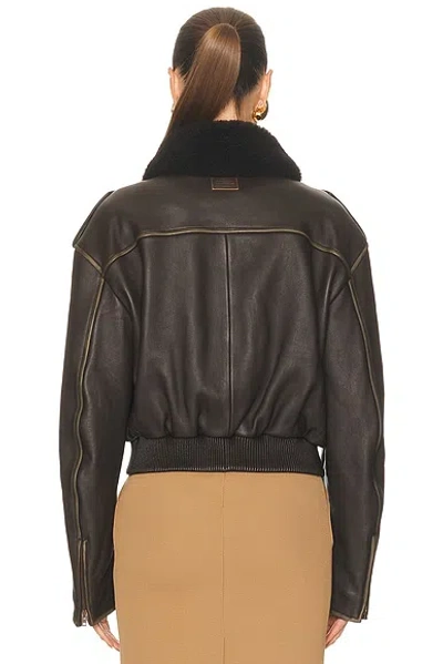 Acne Studios Shearling Bomber Jacket In Brown