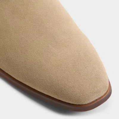Aldo Sosa In Brown