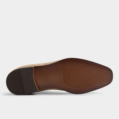 Aldo Sosa In Brown
