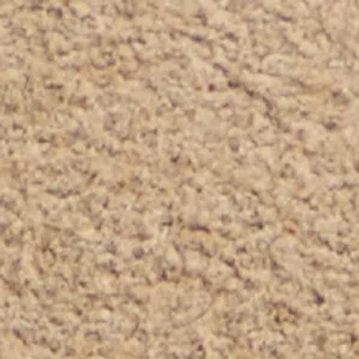 Aldo Sosa In Brown