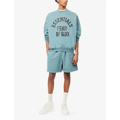 Essentials Campus 90's Crewneck Sweatshirt In Blue